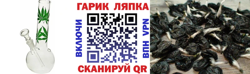 купить закладку  Грязи  ГАШ 40% ТГК 
