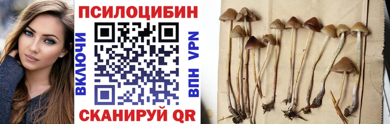 купить наркоту маркетплейс формула OMG зеркало Псилоцибиновые грибы прущие грибы Грязи